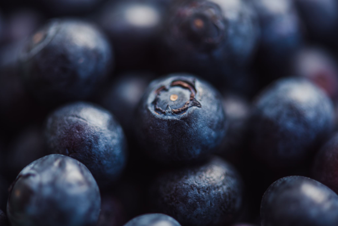 Blueberry Flavored Yak Cheese Chew - Made with REAL BLUEBERRY Puree