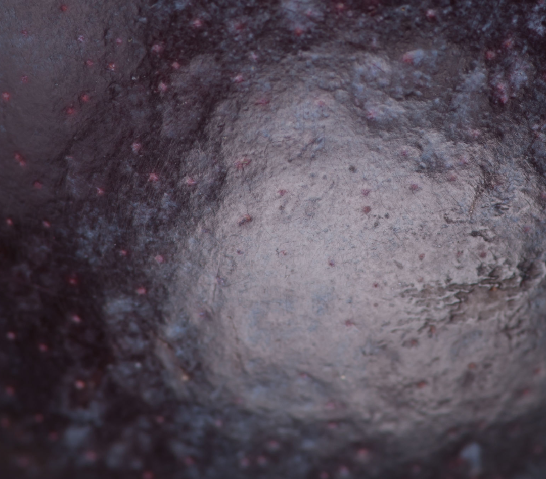 Blueberry Flavored Yak Cheese Chew - Made with REAL BLUEBERRY Puree