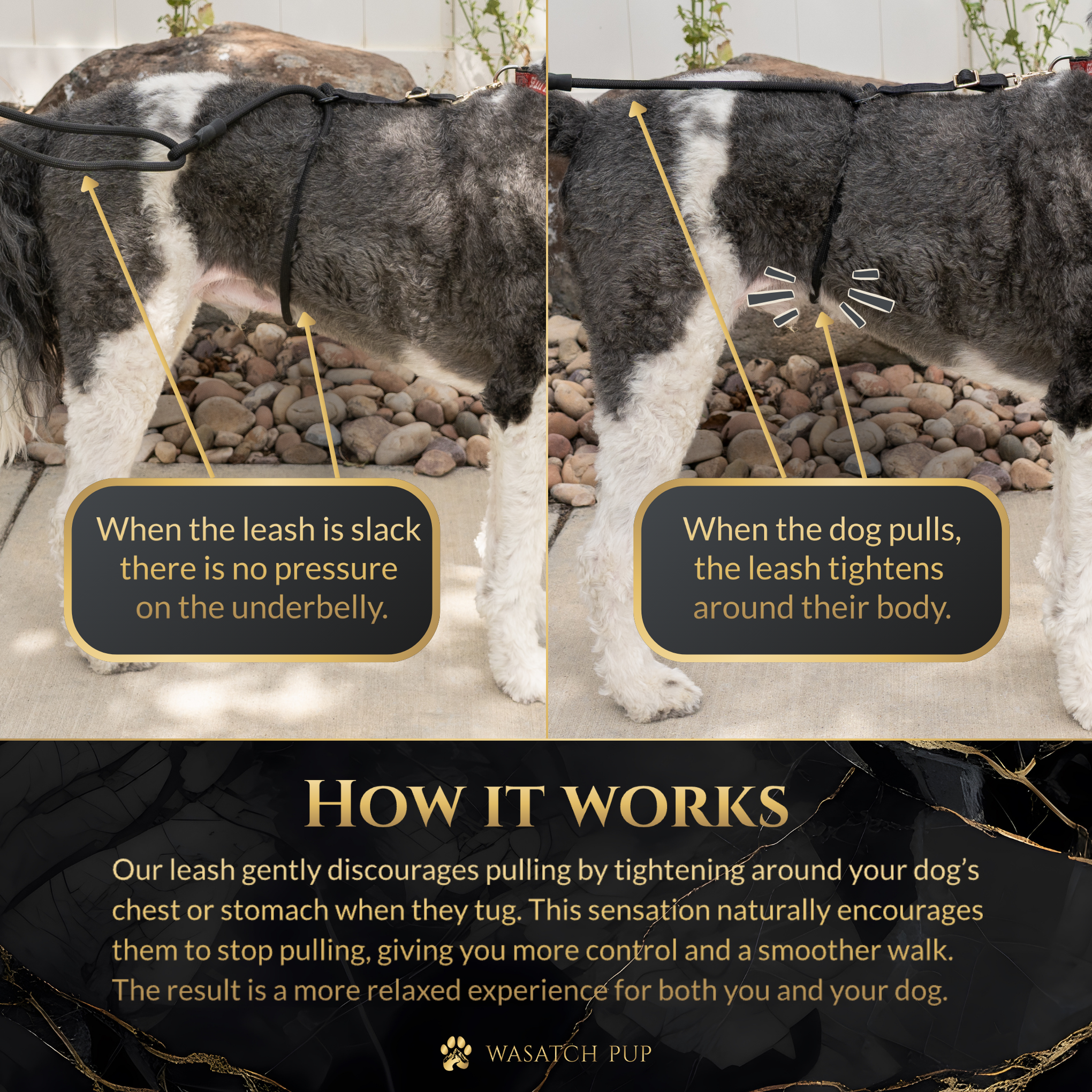 Calm Command: Hands Free No-Pull Leash