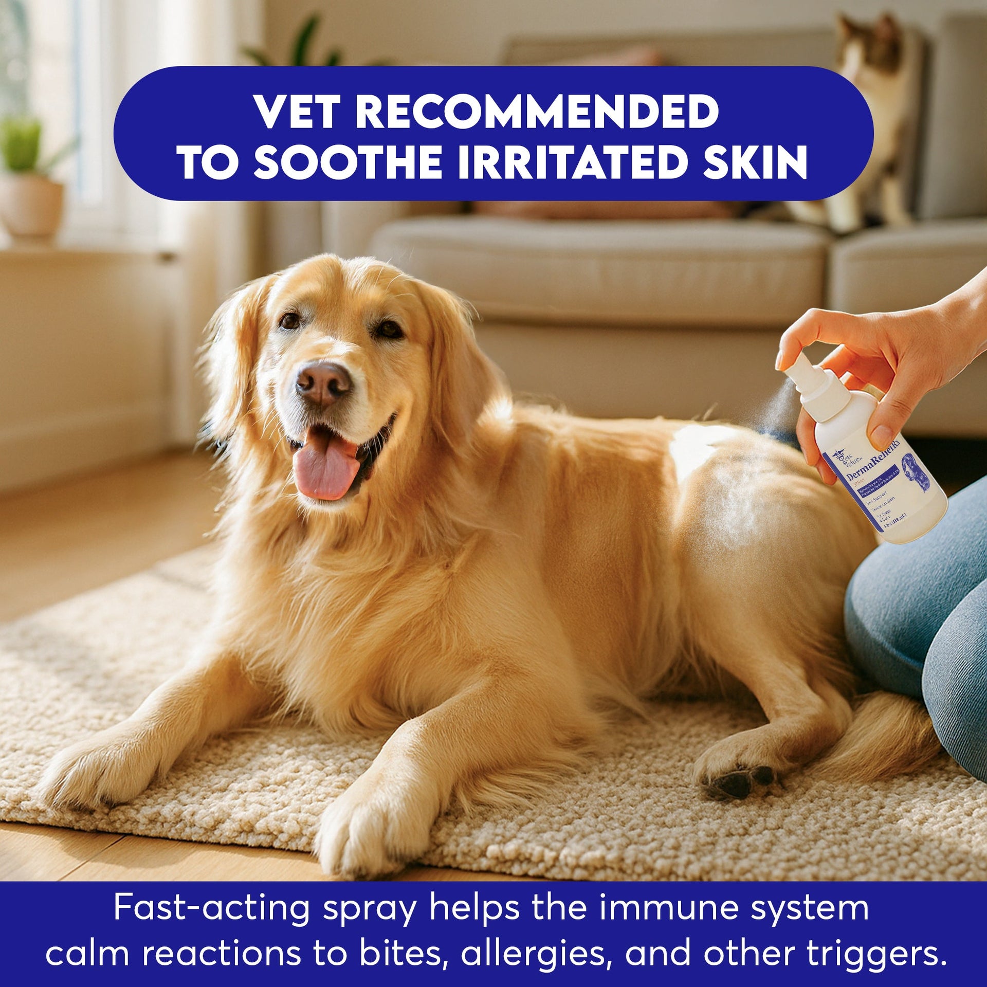 Hydrocortisone Quick Relief Spray for Dogs, Cats & Horses – 4 oz – Supports Minor Skin Irritation Relief – Gentle, Fast-Absorbing Formula – Pet Care Spray for Itchy, Irritated Skin