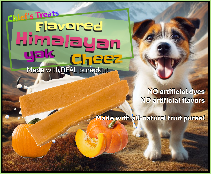 Pumpkin Flavored Yak Cheese Chew - made with REAL PUMPKIN Puree