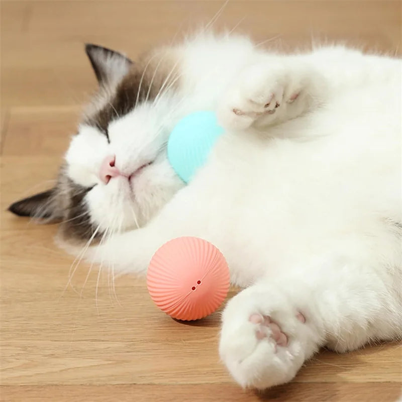 Smart Dog Toy Ball – USB Auto Bouncing Pet Toy for Dogs