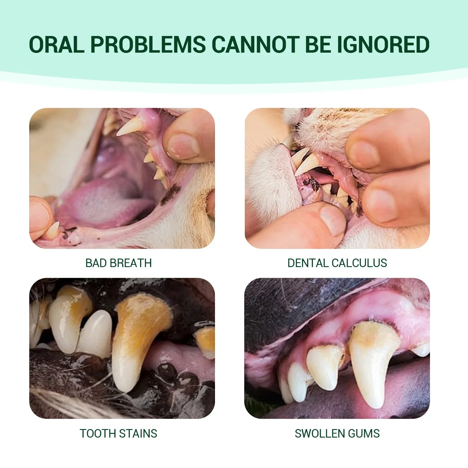 Complete Pet Dental Kit - Fresh Breath & Ear Care