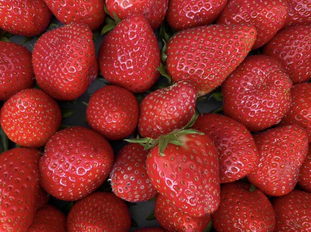 Strawberry Flavored Yak Cheese Chew - made with REAL STRAWBERRY Puree